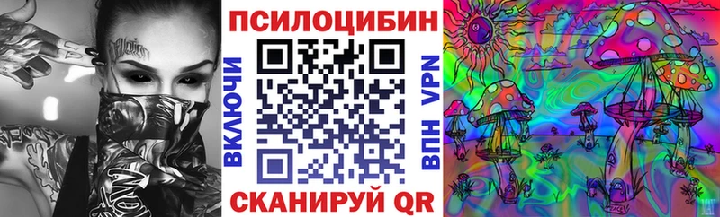 Псилоцибиновые грибы мицелий  Петров Вал 